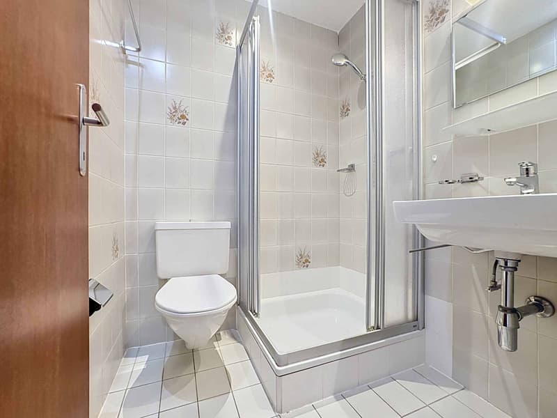 Magnifique appartement de 6.5 pièces avec balcon (10)