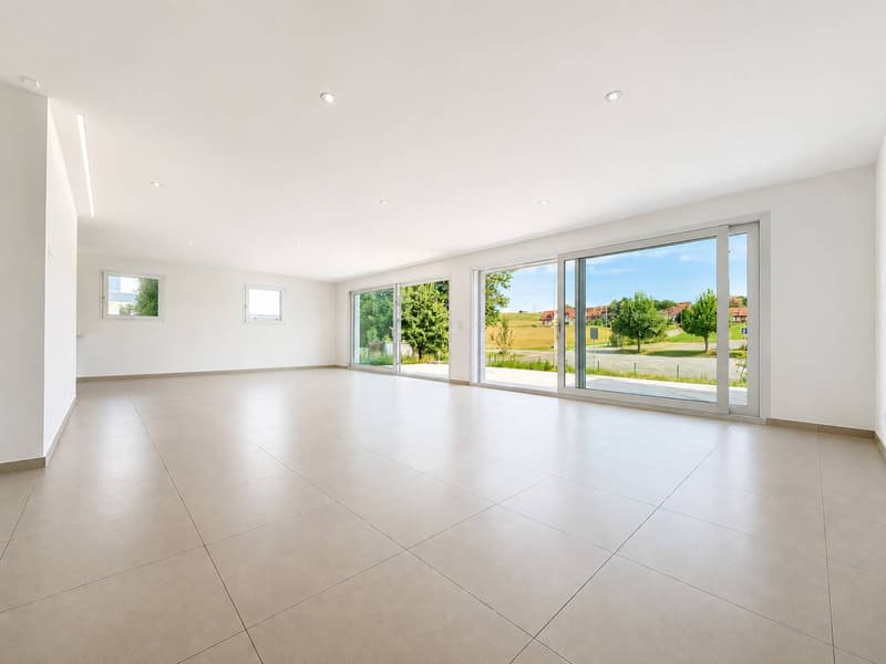 Villa de 5.5 pièces avec terrasse et jardin (2)