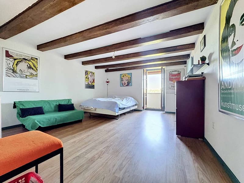 Maison de 6.5 pièces avec potentiel de construction (6)