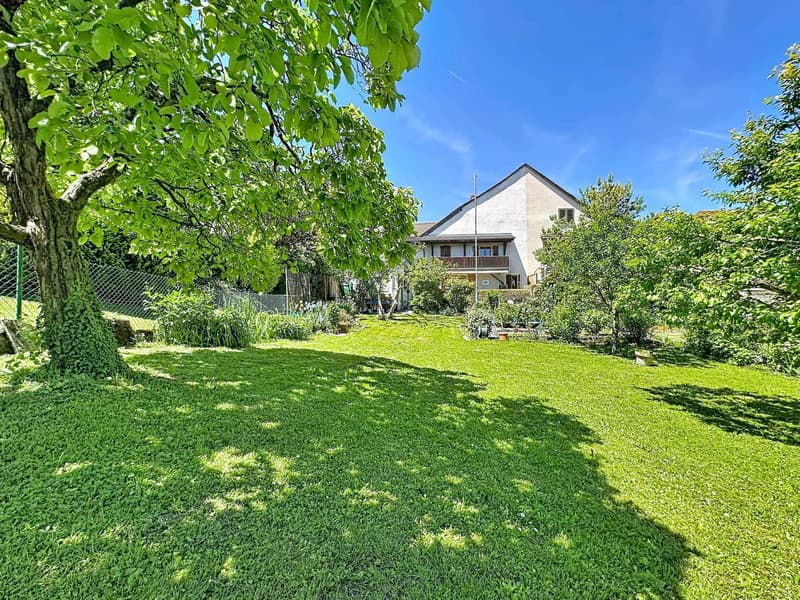 Maison de 6.5 pièces avec potentiel de construction (1)