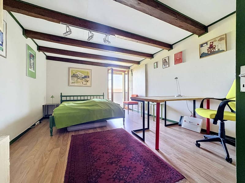 Maison de 6.5 pièces avec potentiel de construction (8)
