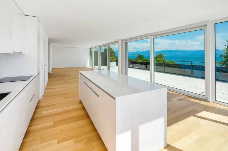UNIQUE! Attique de 5.5 pièces de 180m2 bénéficiant d'un rooftop terrasse de 168m2 avec vue panoramique sur le lac et les Alpes (3)