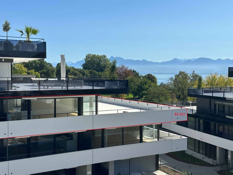 Luxueux 4.5 pièces d'angle avec terrasse (1)