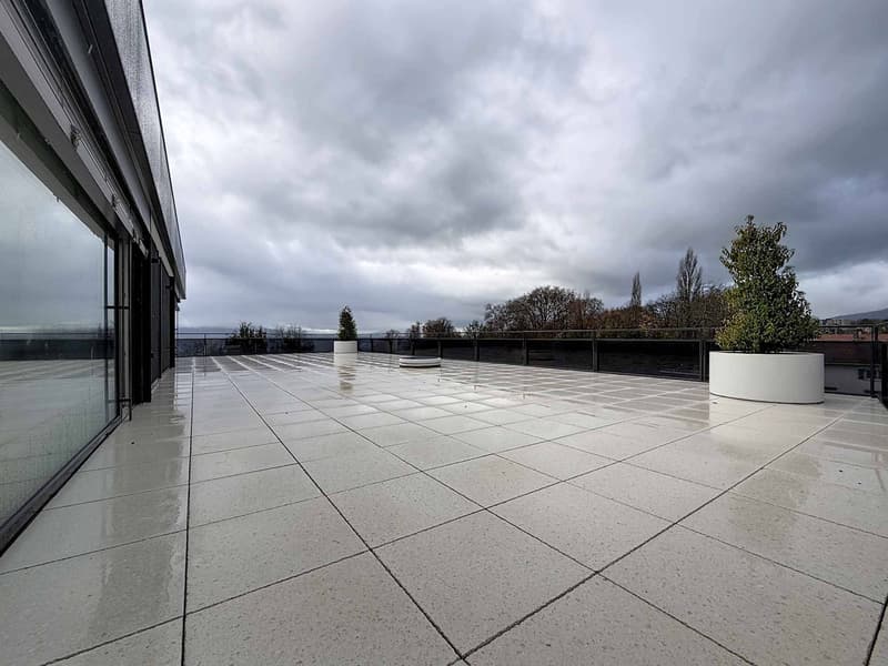 Nouvelle promotion : appartement de 5.5 pièces avec balcon couvert et terrasse (9)