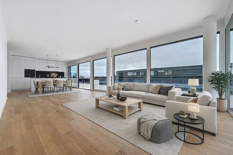 Attique neuf de 4.5 pièces avec rooftop terrasse (1)