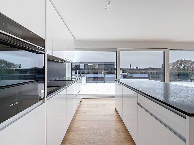 Attique neuf de 4.5 pièces avec rooftop terrasse (4)