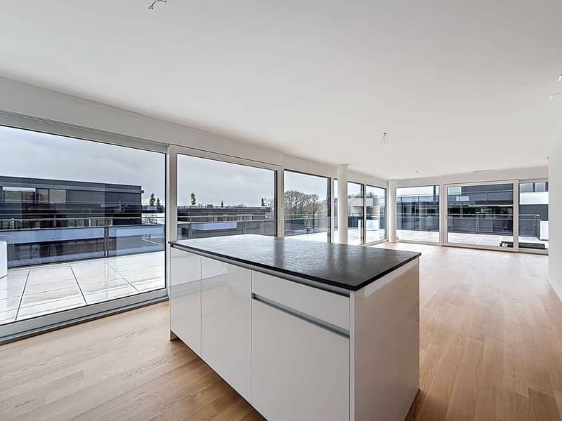 Attique neuf de 4.5 pièces avec rooftop terrasse (3)