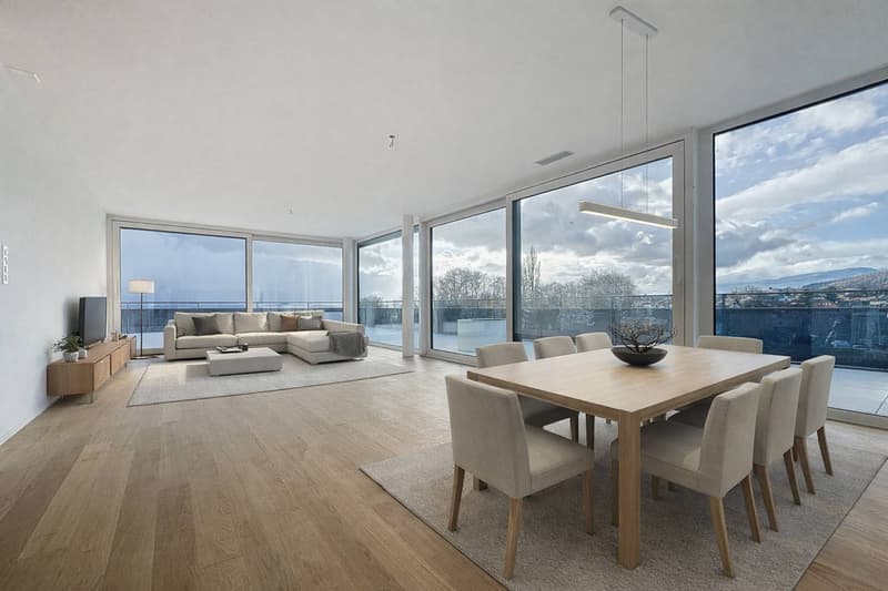 Attique neuf de 5.5 pièces avec rooftop terrasse (2)