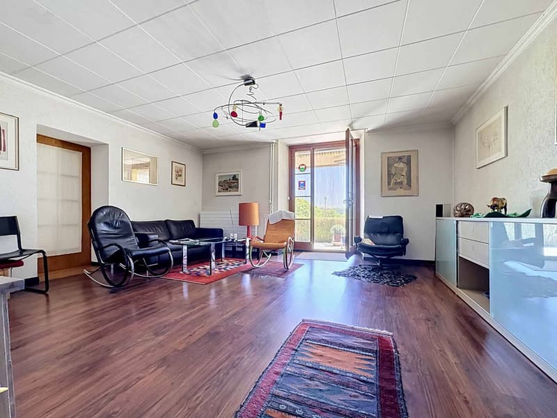 Maison de 6.5 pièces avec potentiel de construction (3)