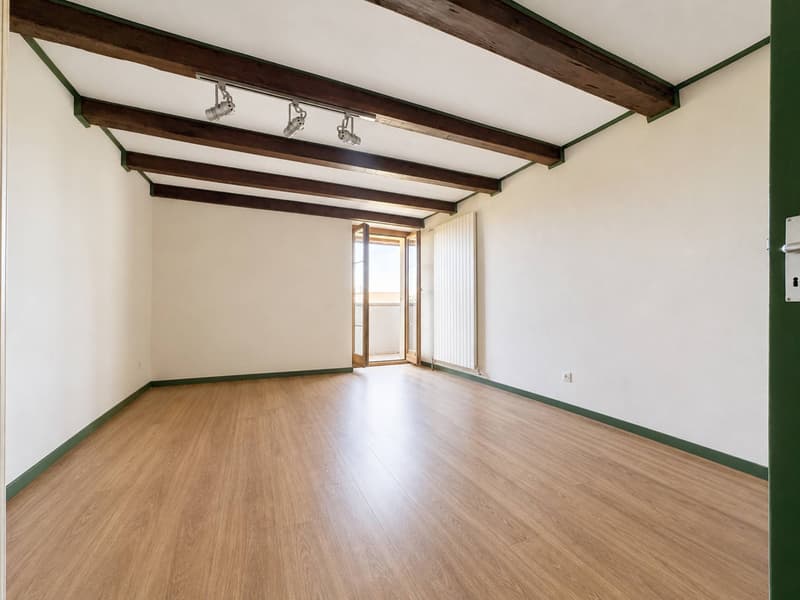 Maison de 6.5 pièces avec potentiel de construction (7)