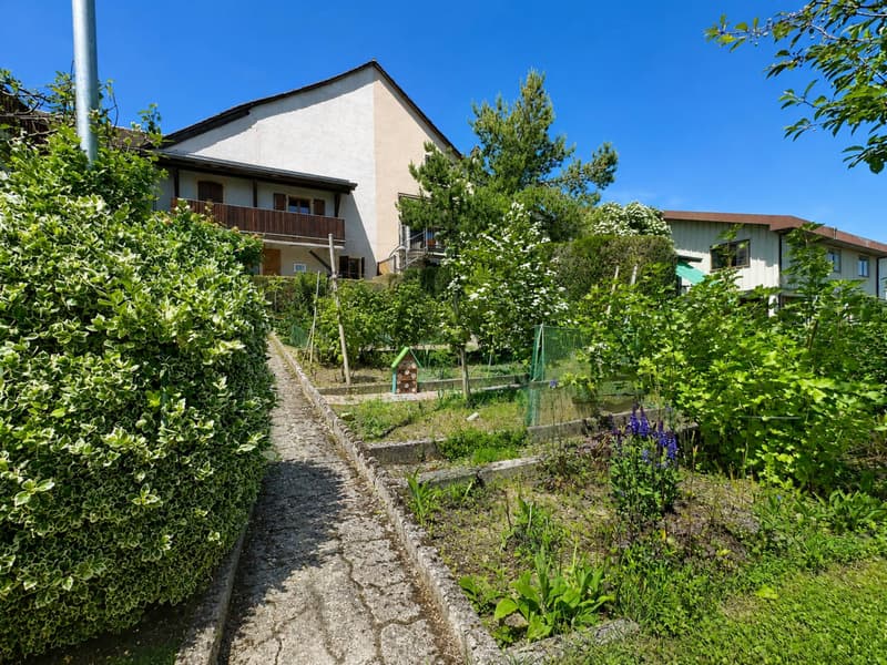 Maison de 6.5 pièces avec potentiel de construction (12)
