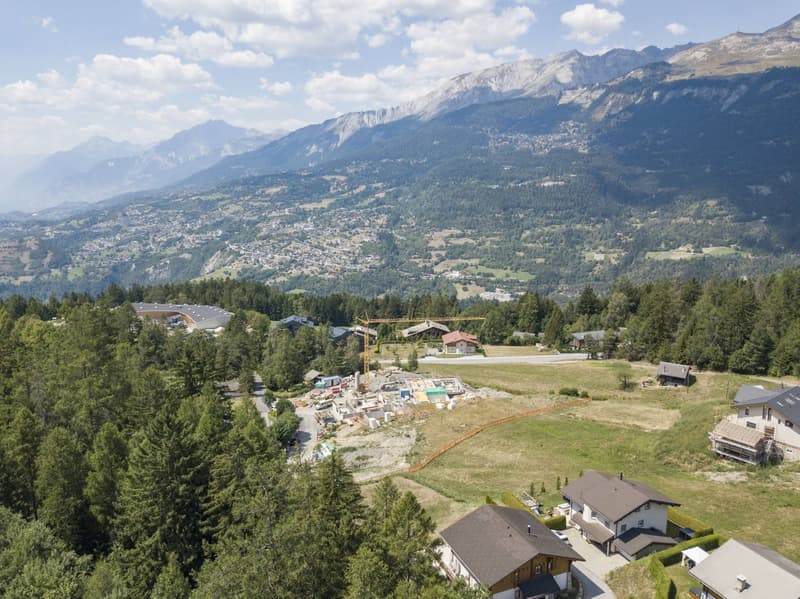 Vue magnifique et cadre de vie agréable dans la nature - 3.5 pièces (2)