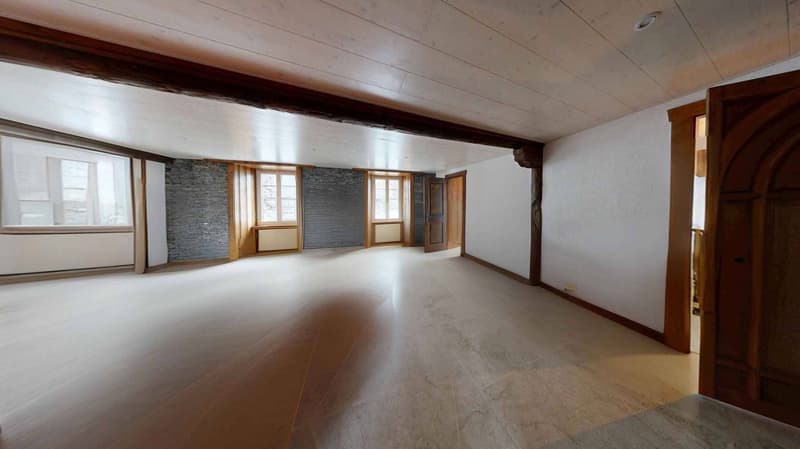 Spacieux appartement 4.5 pièces rénové - Cachet assuré (3)