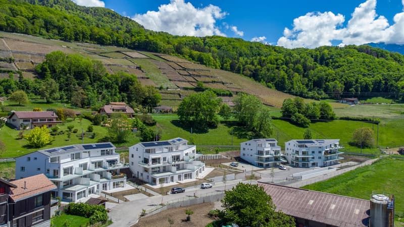 Spacieux et lumineux appartement de 3.5 pièces (2)