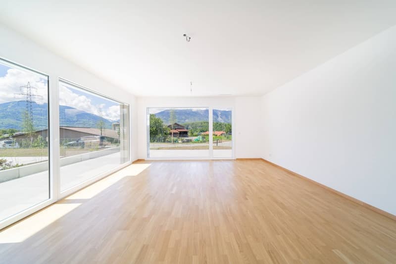 Spacieux et lumineux appartement de 3.5 pièces (5)
