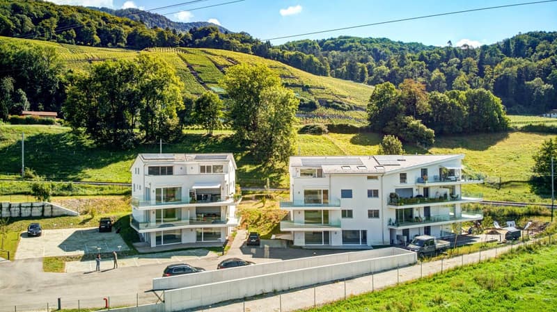 Spacieux et lumineux appartement de 4.5 pièces - libre de suite (2)