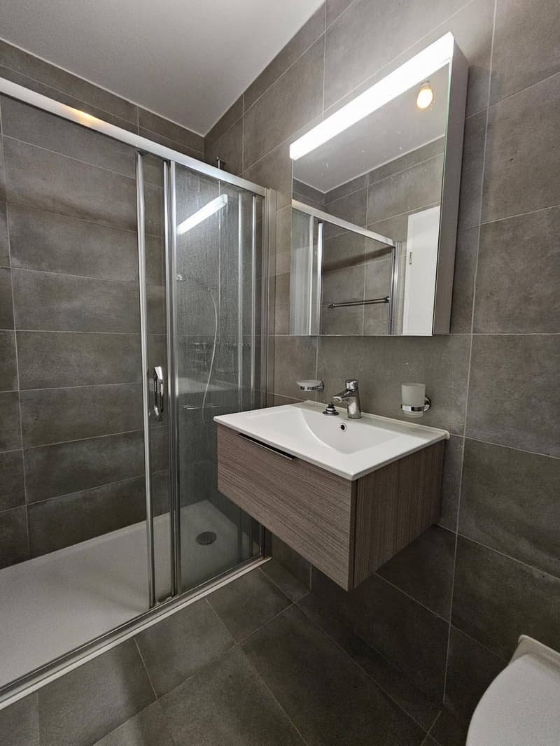 Spacieux et lumineux appartement de 4.5 pièces - libre de suite (5)
