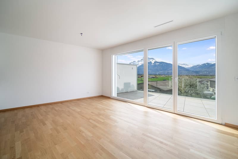 Spacieux et lumineux appartement de 3.5 pièces (6)