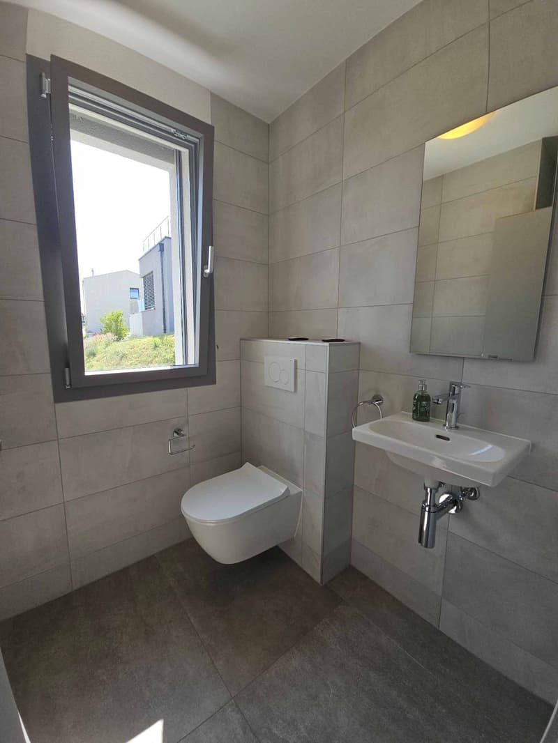 Magnifique villa contemporaine de 5.5 pièces (6)