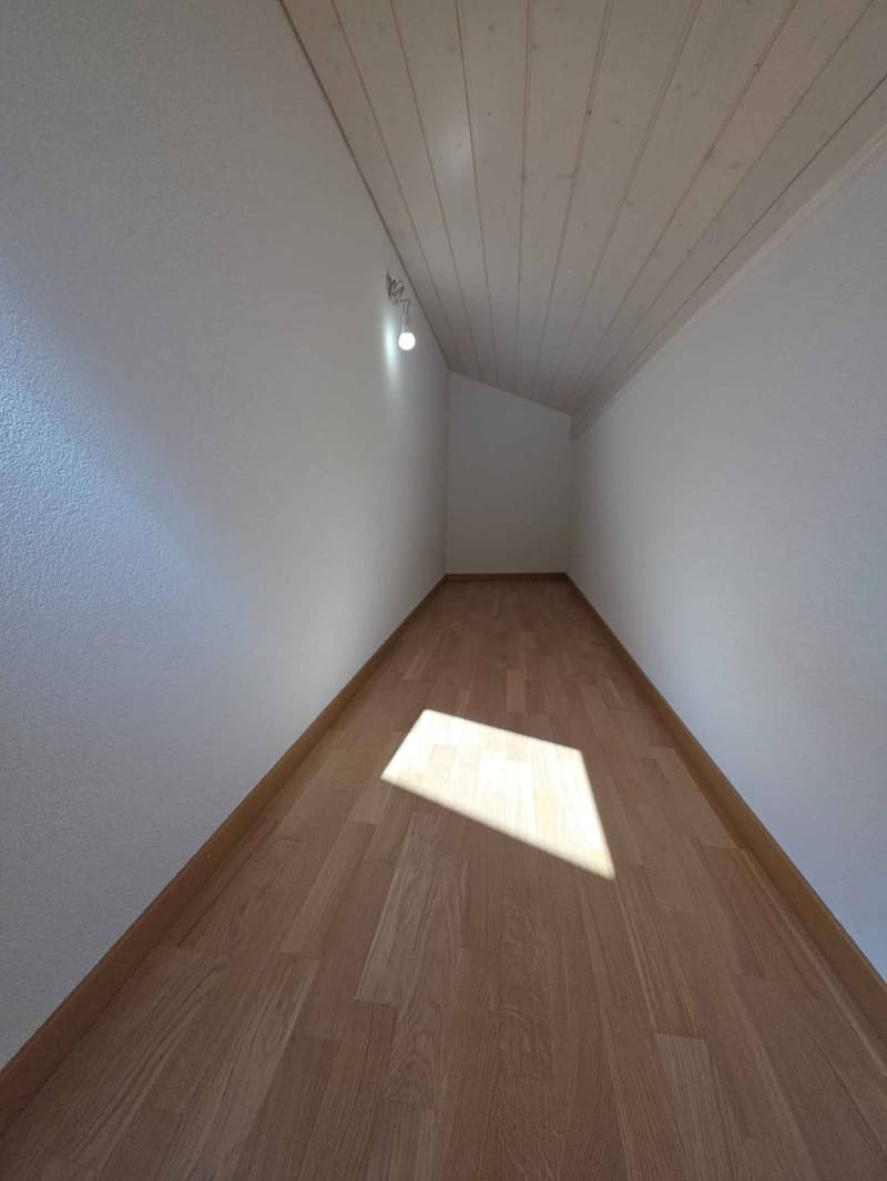Attique spacieux et lumineux 2.5 pièces (7)