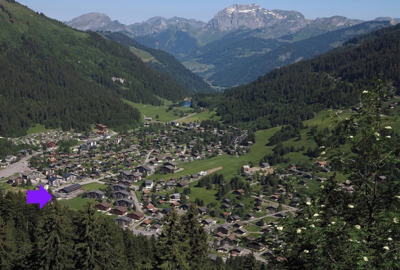 L'élégance alpine dans un 4.5 pièces d'exception (5)