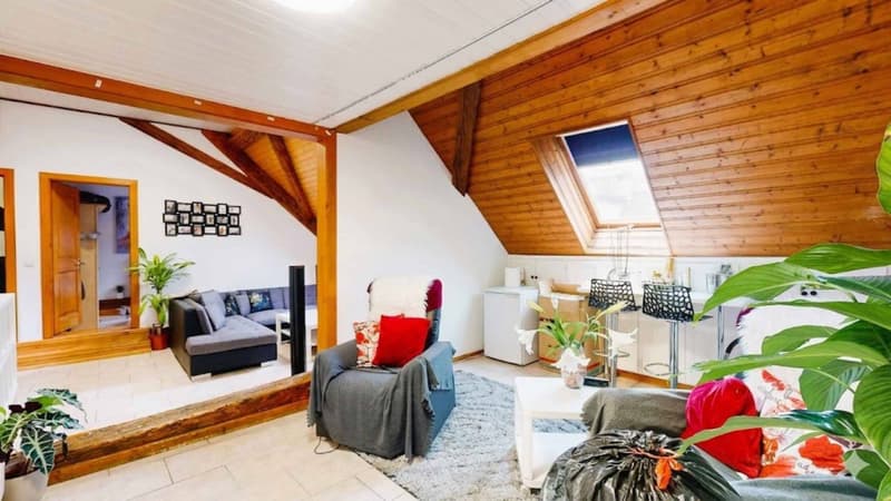 Spacieux appartement 5 pièces avec terrasse panoramique (6)