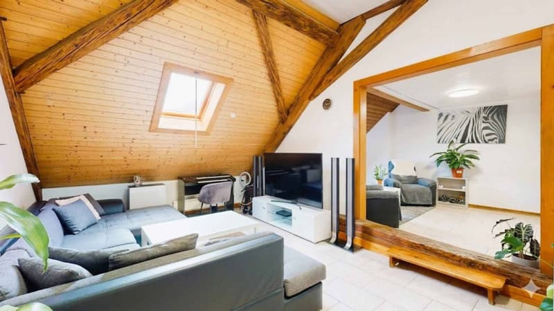 Spacieux appartement 5 pièces avec terrasse panoramique (7)