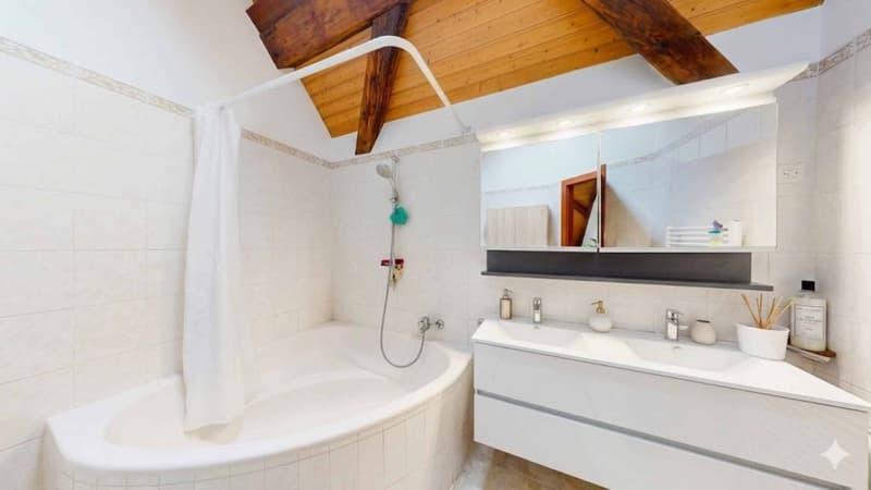 Spacieux appartement 5 pièces avec terrasse panoramique (9)