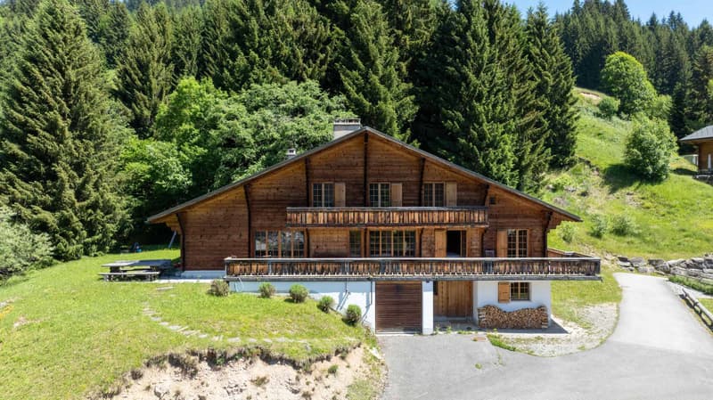 Chalet d'exception - Ski in/out (12)