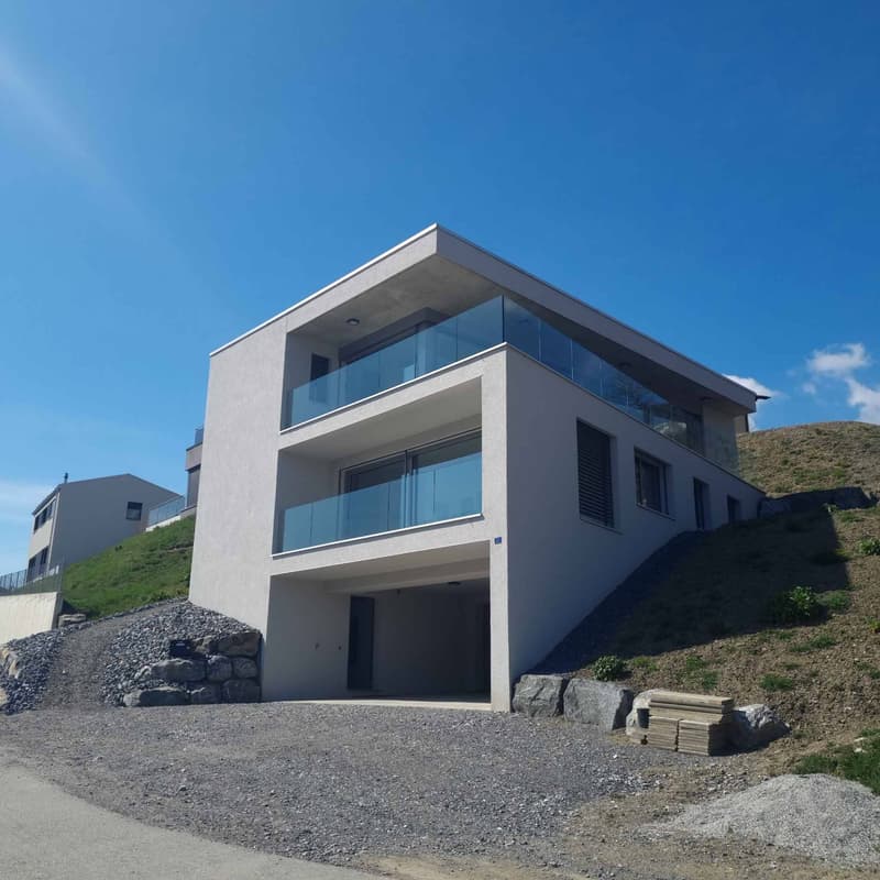 Magnifique villa contemporaine de 5.5 pièces (1)