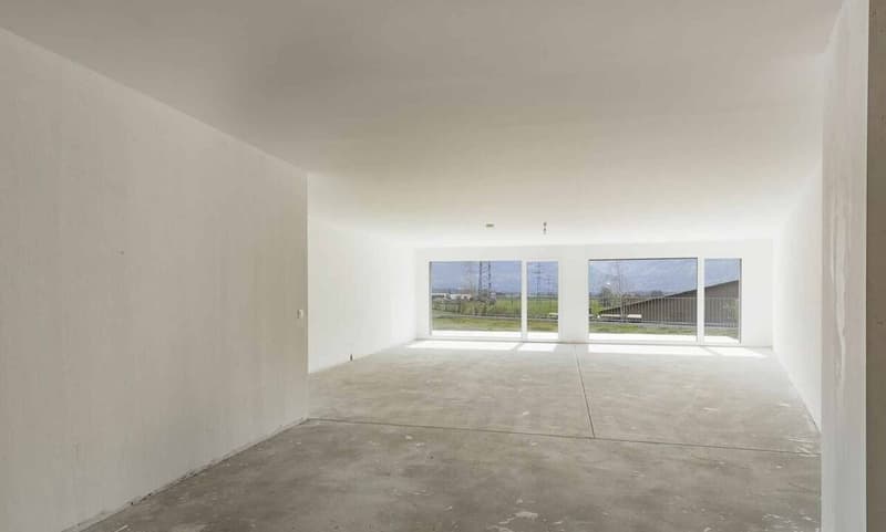 Surface commerciale neuve de 175 m2 - Prix exceptionnel (1)