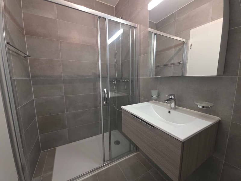 Spacieux et lumineux appartement de 4.5 pièces - libre de suite (10)
