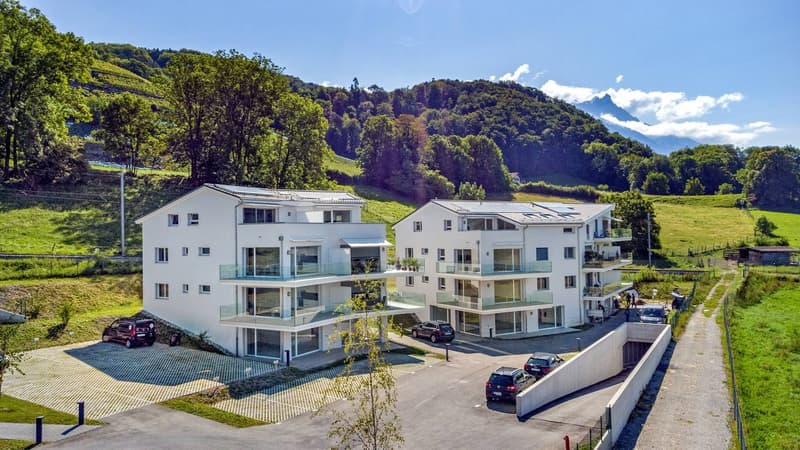 Spacieux et lumineux appartement de 4.5 pièces - libre de suite (2)
