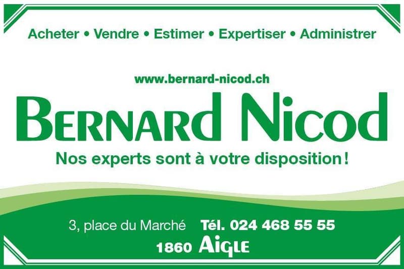 Spacieux et lumineux attique 4.5 pièces (7)