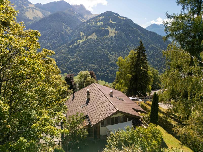 Maison de 2 appartements à la vue imprenable (3)