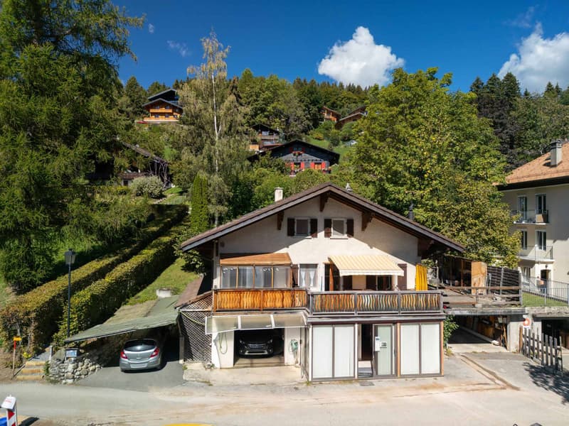 Maison de 2 appartements à la vue imprenable (2)