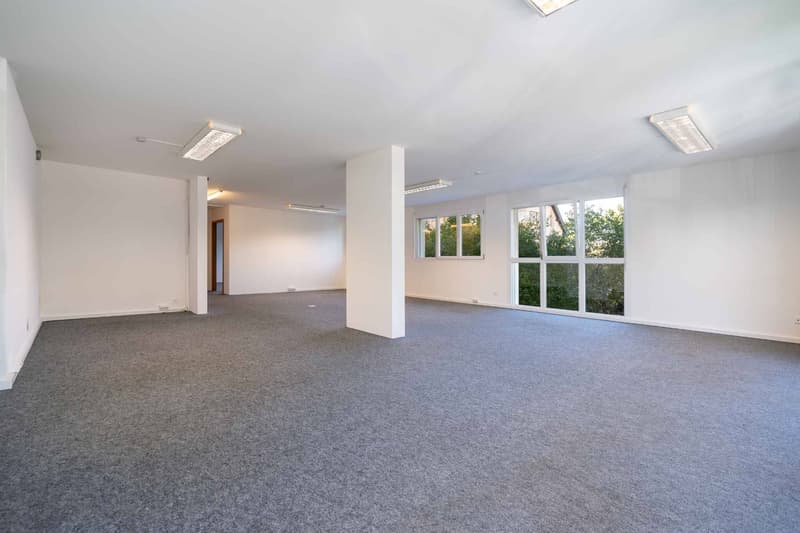 Spacieuse surface commerciale au Mont-sur-Lausanne de 115 m2 (9)