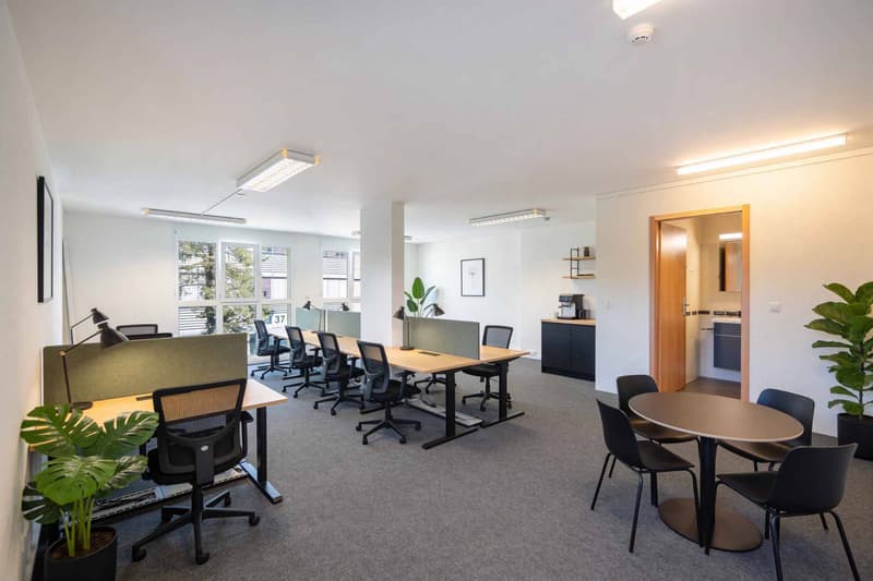 Spacieuse surface commerciale au Mont-sur-Lausanne de 115 m2 (4)