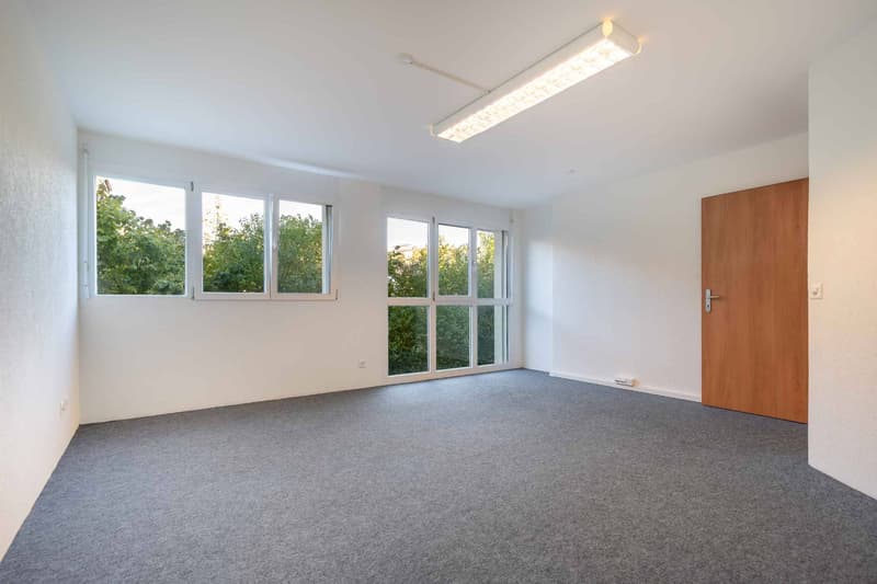 Spacieuse surface commerciale au Mont-sur-Lausanne de 115 m2 (6)