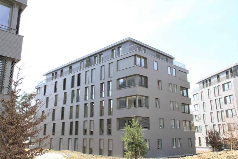 Magnifique 2.5 pièces dans le quartier de Malley ! (1)