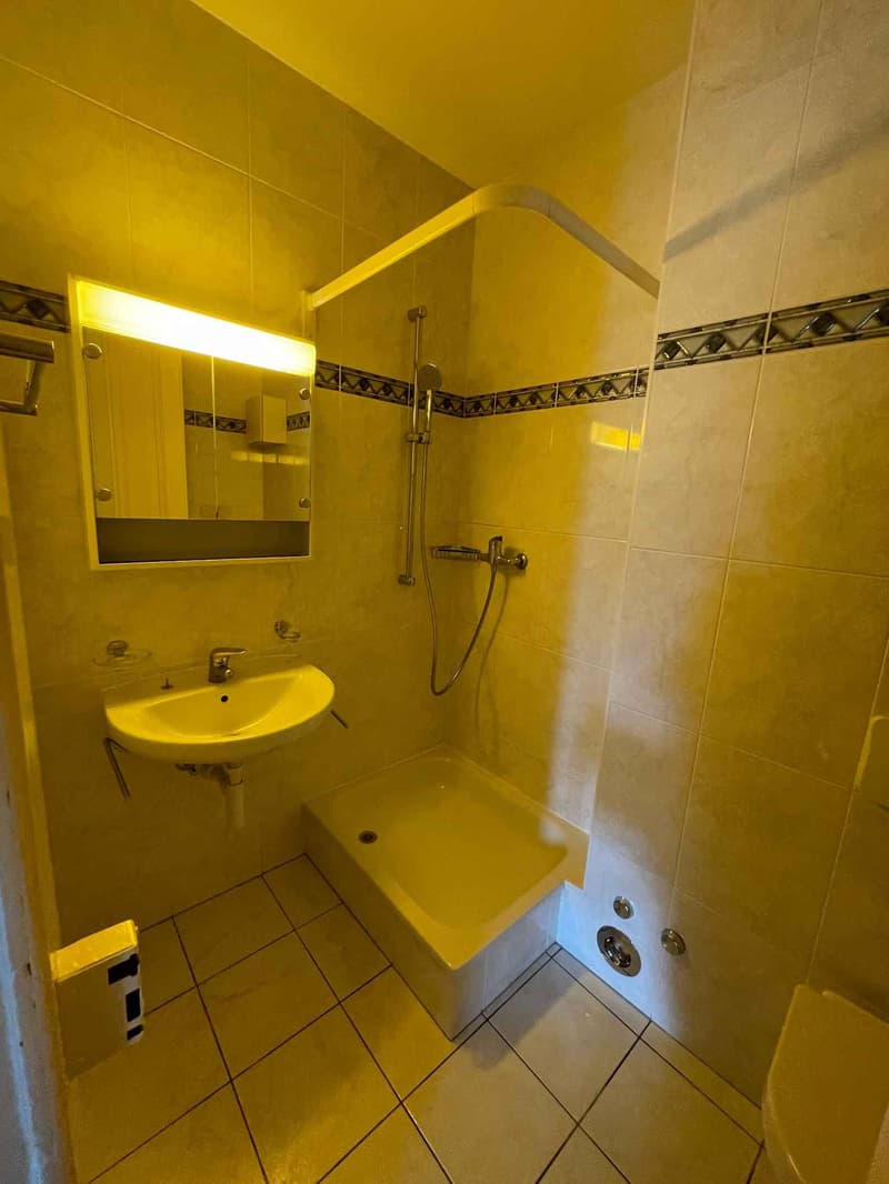 Appartement 4 pièces au 2ème étage - 1003 Lausanne (7)