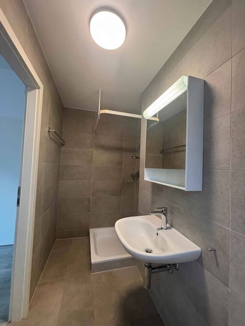 Charmant Appartement 4,5 pièces au 2ème étage - 1162 ST-PREX (7)