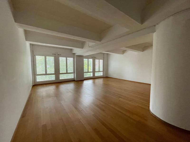 Magnifique loft lumineux de 88 m2 à Lausanne - Quartier sous-gare (3)