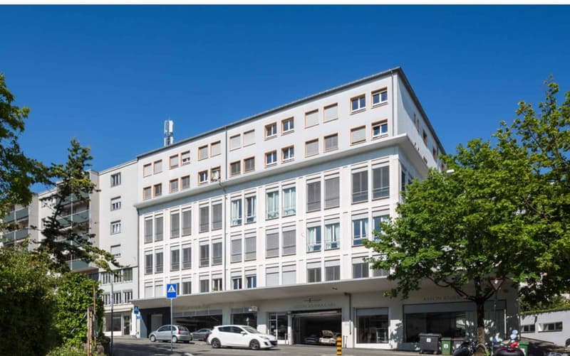 Magnifique loft lumineux de 88 m2 à Lausanne - Quartier sous-gare (1)