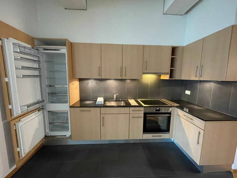 Magnifique loft lumineux de 88 m2 à Lausanne - Quartier sous-gare (5)
