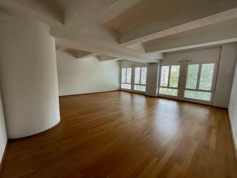 Magnifique loft lumineux de 88 m2 à Lausanne - Quartier sous-gare (2)