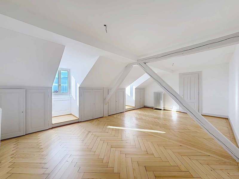 Superbe 2.5 p de 130 m2 hab. - Dernier étage (9)