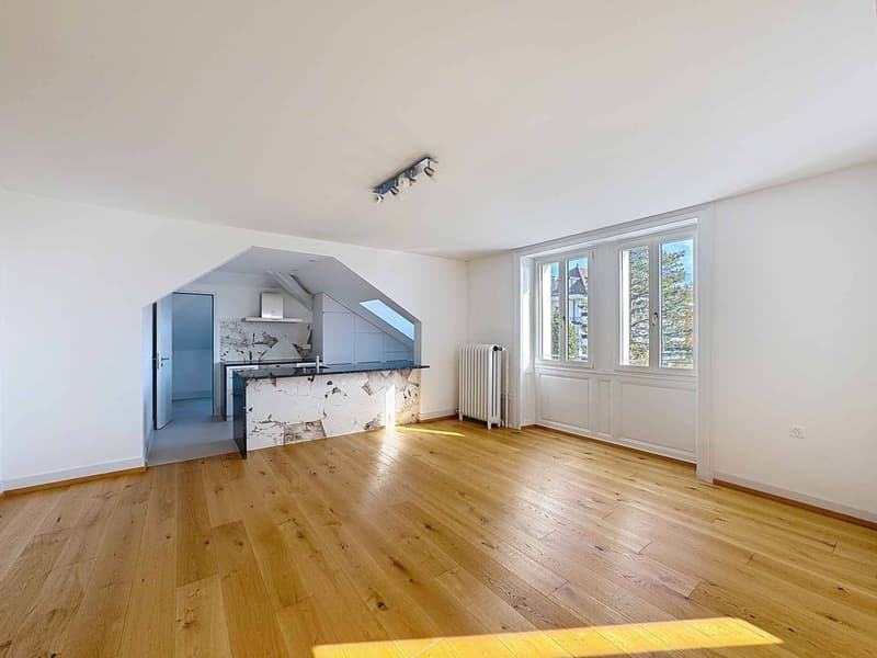 Superbe 2.5 p de 130 m2 hab. - Dernier étage (4)