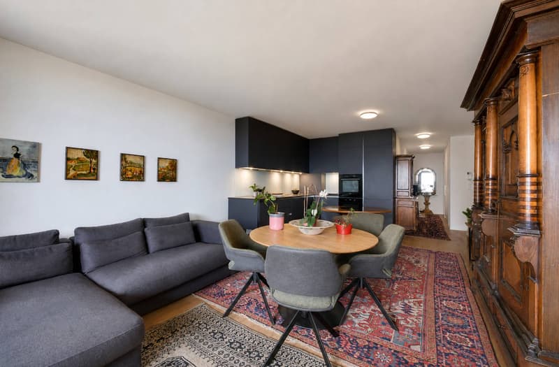 Bel appartement récent de 3.5 pièces avec grand balcon et vue sur le Lac (6)