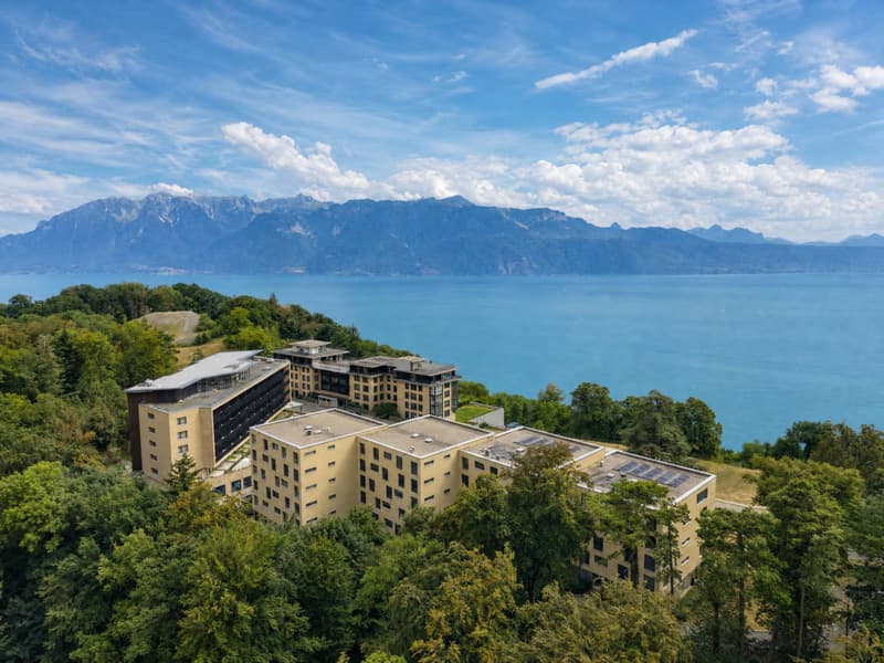 Bel appartement récent de 3.5 pièces avec grand balcon et vue sur le Lac (3)